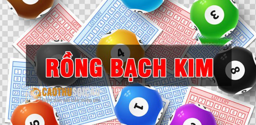 Rồng Bạch Kim: Trợ lý đắc lực đưa ra dự đoán chính xác cho người chơi xổ số