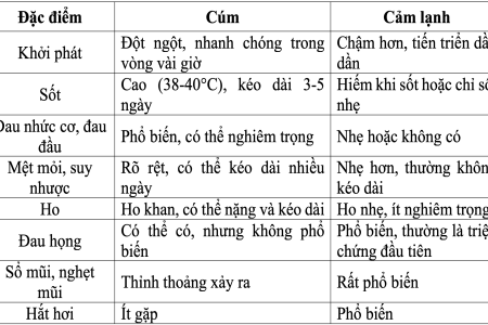 So sánh Xam Vn và dịch vụ khác ưu nhược điểm rõ ràng!