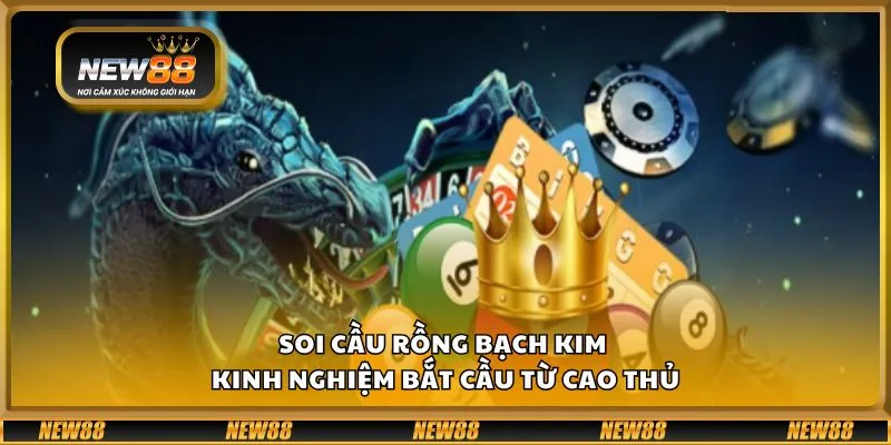 Rồng Bạch Kim: Trợ lý đắc lực đưa ra dự đoán chính xác cho người chơi xổ số