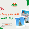 Mua Mu Chi Ton o dau top 3 dia chi uy tin nhat hien nay
